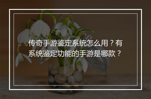 传奇手游鉴定系统怎么用？有系统鉴定功能的手游是哪款？