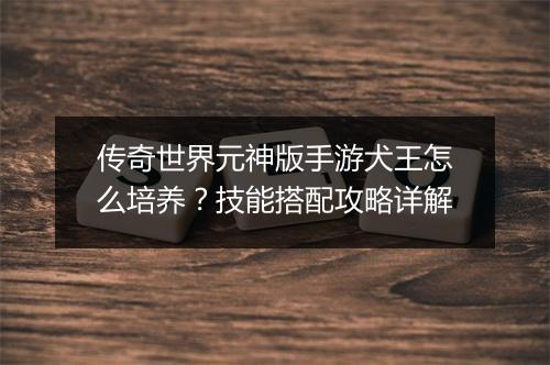 传奇世界元神版手游犬王怎么培养？技能搭配攻略详解