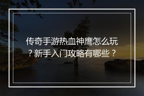 传奇手游热血神鹰怎么玩？新手入门攻略有哪些？