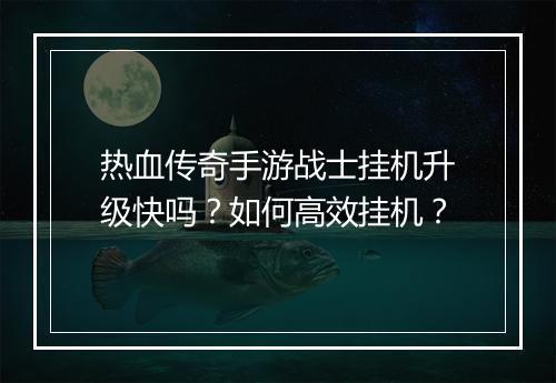 热血传奇手游战士挂机升级快吗？如何高效挂机？