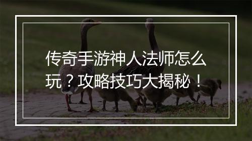 传奇手游神人法师怎么玩？攻略技巧大揭秘！