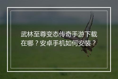 武林至尊变态传奇手游下载在哪？安卓手机如何安装？