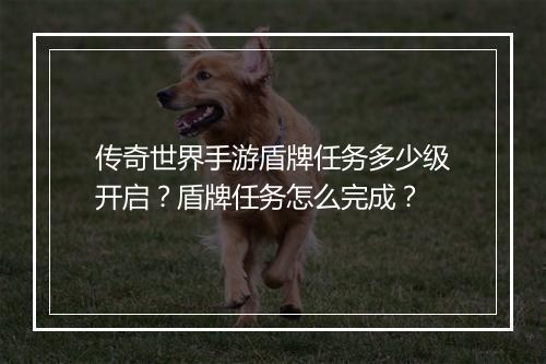 传奇世界手游盾牌任务多少级开启？盾牌任务怎么完成？