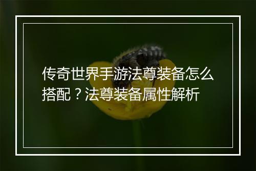 传奇世界手游法尊装备怎么搭配？法尊装备属性解析