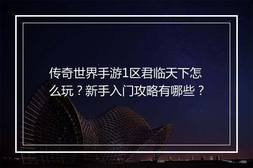 传奇世界手游1区君临天下怎么玩？新手入门攻略有哪些？