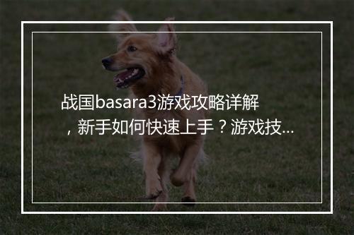 战国basara3游戏攻略详解，新手如何快速上手？游戏技巧分享