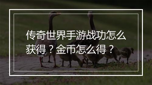 传奇世界手游战功怎么获得？金币怎么得？