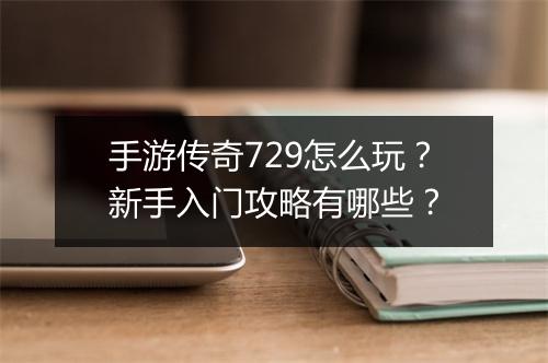 手游传奇729怎么玩？新手入门攻略有哪些？