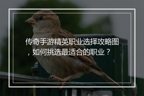 传奇手游精英职业选择攻略图，如何挑选最适合的职业？