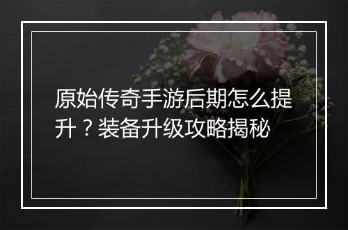 原始传奇手游后期怎么提升？装备升级攻略揭秘