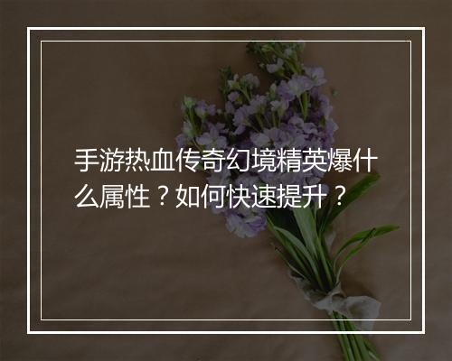 手游热血传奇幻境精英爆什么属性？如何快速提升？