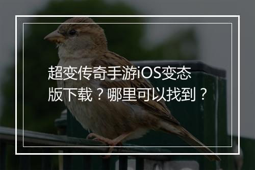 超变传奇手游iOS变态版下载？哪里可以找到？