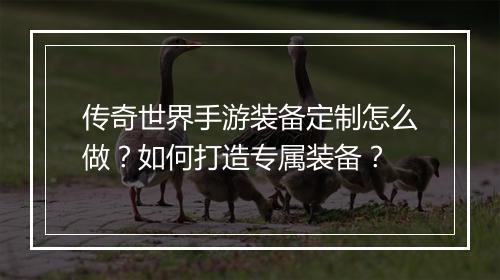 传奇世界手游装备定制怎么做？如何打造专属装备？