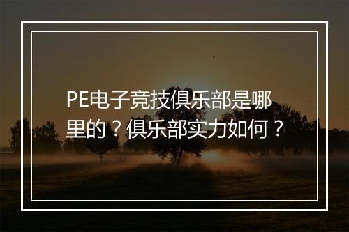 PE电子竞技俱乐部是哪里的？俱乐部实力如何？