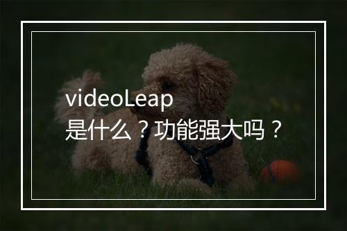 videoLeap 是什么？功能强大吗？