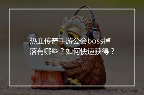 热血传奇手游公会boss掉落有哪些？如何快速获得？