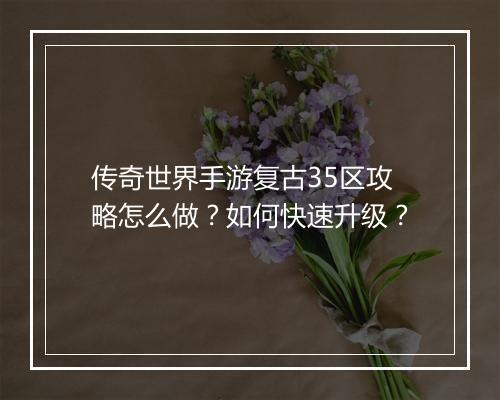 传奇世界手游复古35区攻略怎么做？如何快速升级？