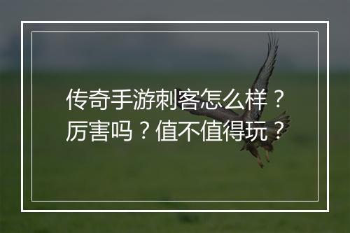 传奇手游刺客怎么样？厉害吗？值不值得玩？
