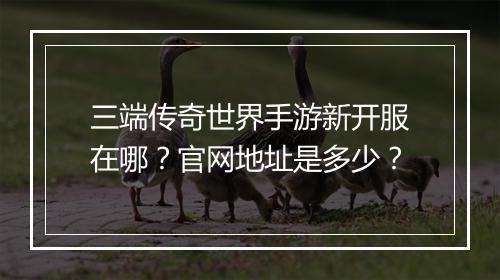 三端传奇世界手游新开服在哪？官网地址是多少？