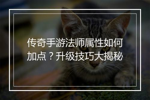 传奇手游法师属性如何加点？升级技巧大揭秘