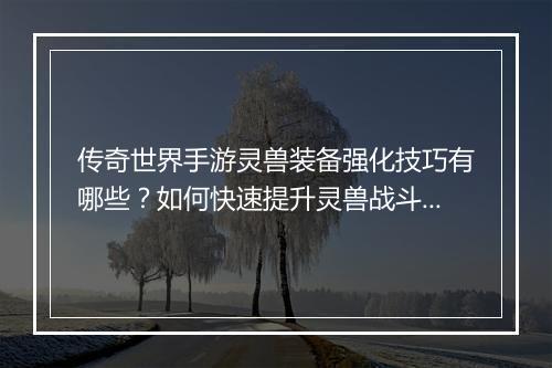 传奇世界手游灵兽装备强化技巧有哪些？如何快速提升灵兽战斗力？