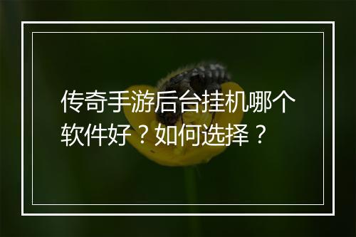 传奇手游后台挂机哪个软件好？如何选择？