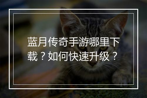 蓝月传奇手游哪里下载？如何快速升级？