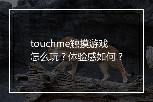 touchme触摸游戏怎么玩？体验感如何？