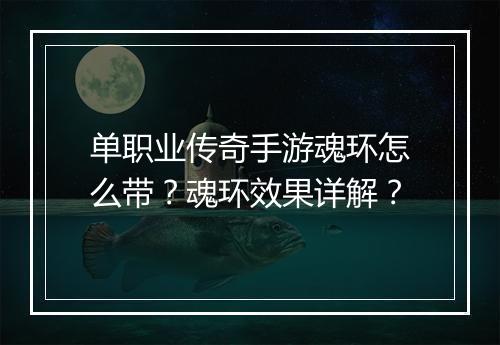 单职业传奇手游魂环怎么带？魂环效果详解？