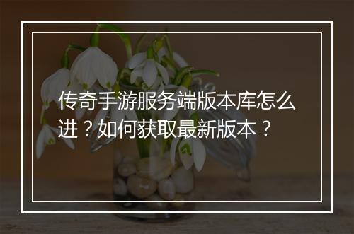 传奇手游服务端版本库怎么进？如何获取最新版本？