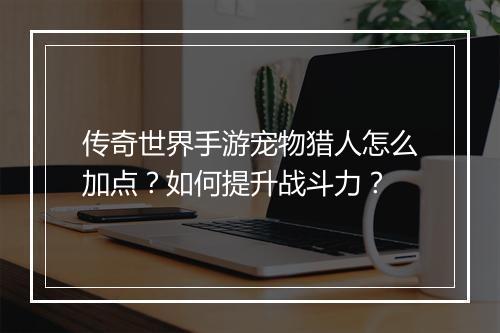 传奇世界手游宠物猎人怎么加点？如何提升战斗力？