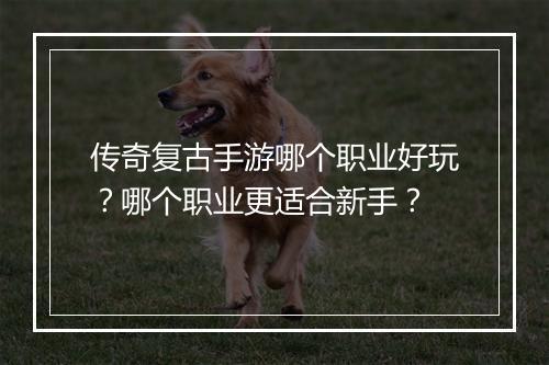 传奇复古手游哪个职业好玩？哪个职业更适合新手？
