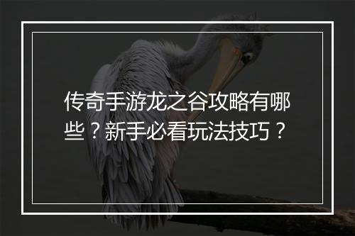 传奇手游龙之谷攻略有哪些？新手必看玩法技巧？