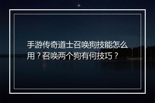 手游传奇道士召唤狗技能怎么用？召唤两个狗有何技巧？