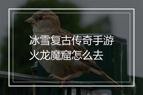 冰雪复古传奇手游火龙魔窟怎么去