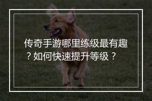 传奇手游哪里练级最有趣？如何快速提升等级？