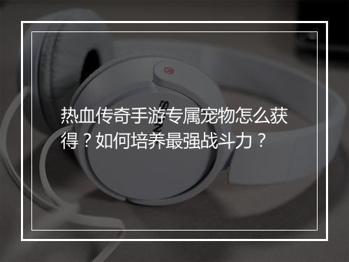 热血传奇手游专属宠物怎么获得？如何培养最强战斗力？