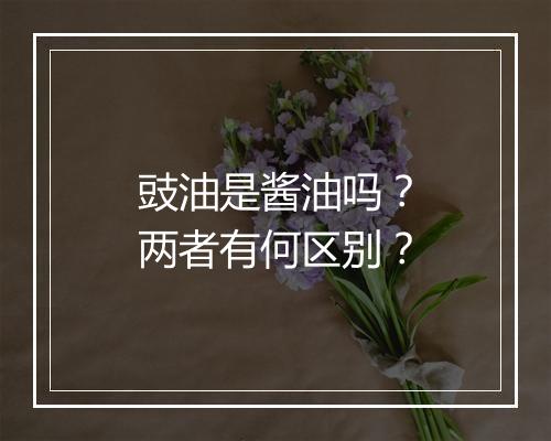 豉油是酱油吗？两者有何区别？