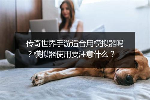 传奇世界手游适合用模拟器吗？模拟器使用要注意什么？