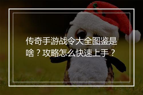 传奇手游战令大全图鉴是啥？攻略怎么快速上手？
