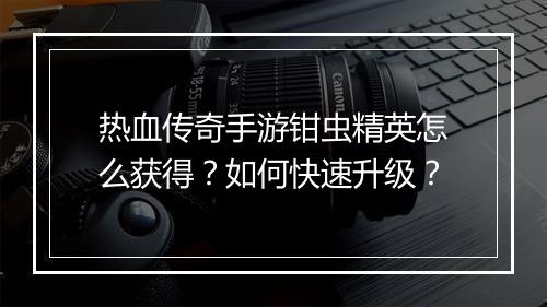 热血传奇手游钳虫精英怎么获得？如何快速升级？