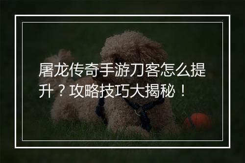 屠龙传奇手游刀客怎么提升？攻略技巧大揭秘！