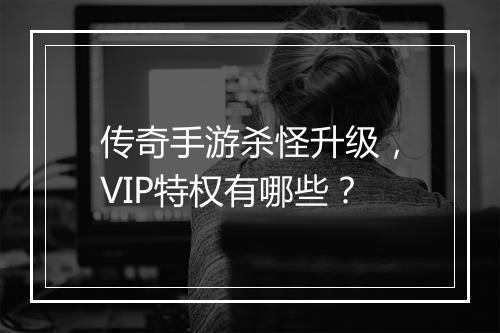传奇手游杀怪升级，VIP特权有哪些？
