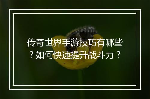 传奇世界手游技巧有哪些？如何快速提升战斗力？