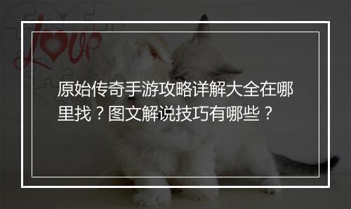 原始传奇手游攻略详解大全在哪里找？图文解说技巧有哪些？