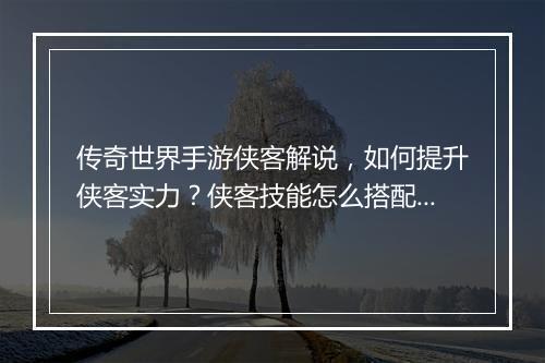 传奇世界手游侠客解说，如何提升侠客实力？侠客技能怎么搭配？