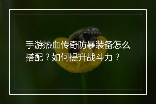 手游热血传奇防暴装备怎么搭配？如何提升战斗力？