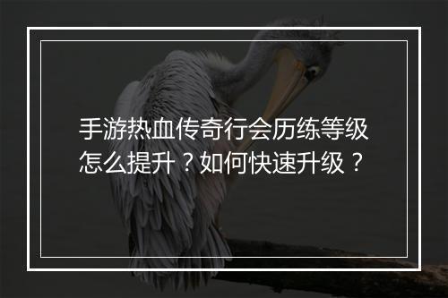手游热血传奇行会历练等级怎么提升？如何快速升级？