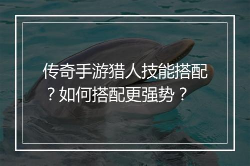 传奇手游猎人技能搭配？如何搭配更强势？