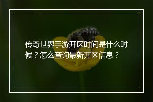 传奇世界手游开区时间是什么时候？怎么查询最新开区信息？